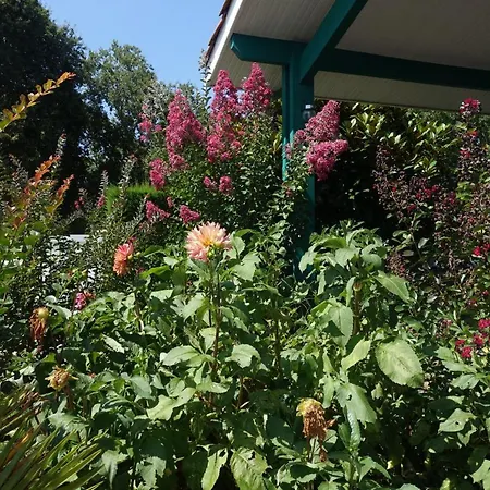 Bed & Breakfast L Annexe *