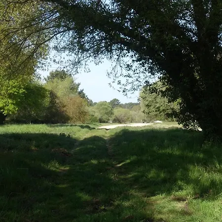 L Annexe Alojamento de Acomodação e Pequeno-almoço 3*